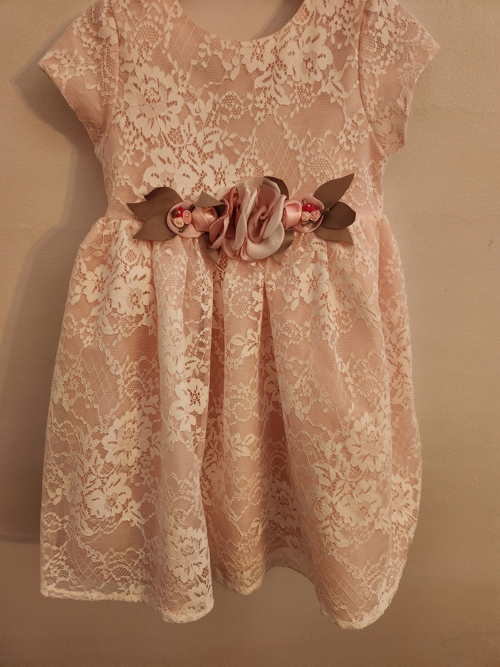 Mia & Mimi Delicate Pink Lace Dress w/Stationary Floral Sash, Size 4T, EPreLC - Picture 3 of 9